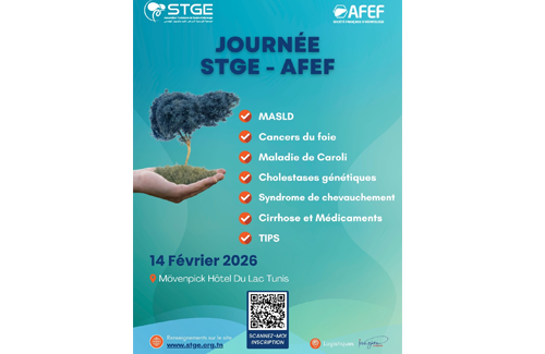 Journée STGE-AFEF