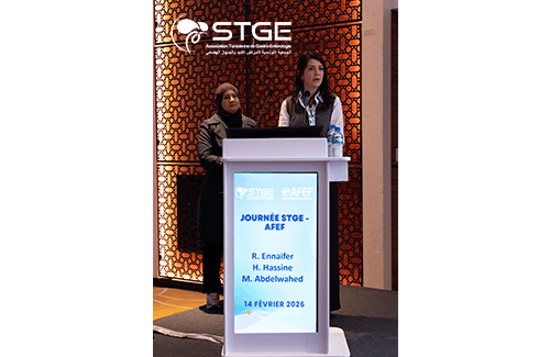 Journée STGE-AFEF