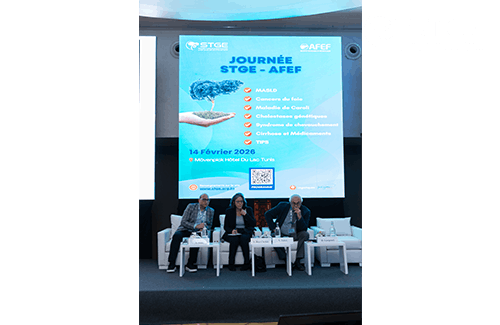 Journée STGE-AFEF