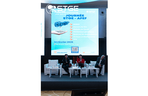 Journée STGE-AFEF