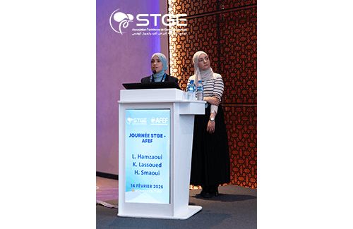 Journée STGE-AFEF