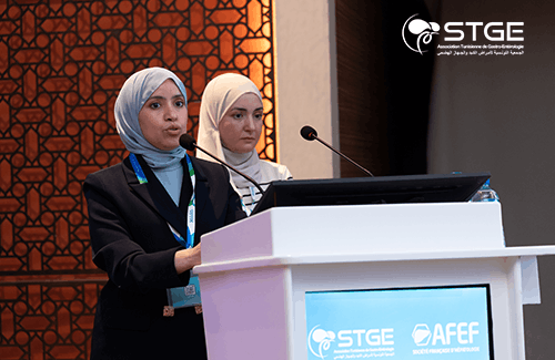Journée STGE-AFEF