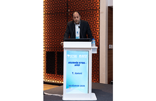 Journée STGE-AFEF