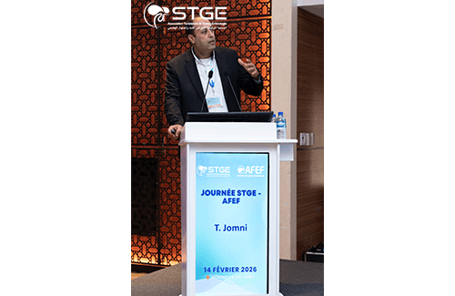 Journée STGE-AFEF