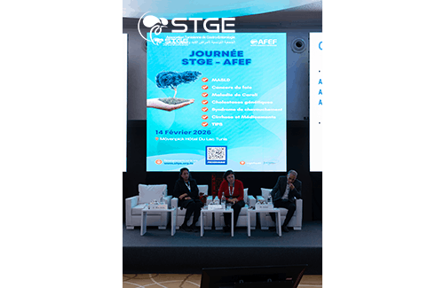 Journée STGE-AFEF