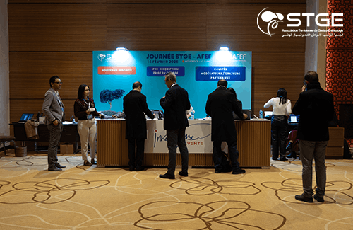 Journée STGE-AFEF