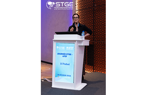 Journée STGE-AFEF