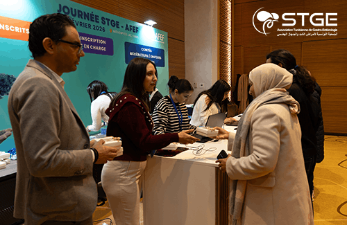 Journée STGE-AFEF
