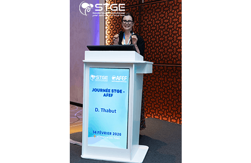 Journée STGE-AFEF