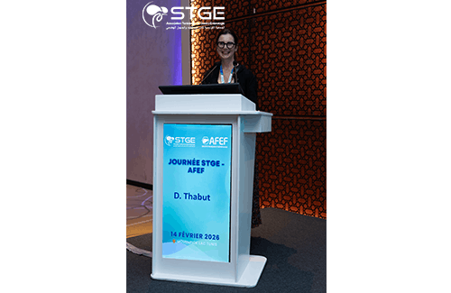 Journée STGE-AFEF