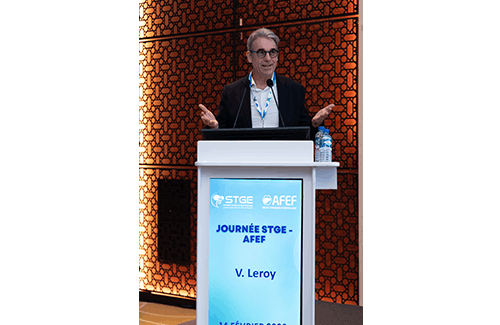 Journée STGE-AFEF