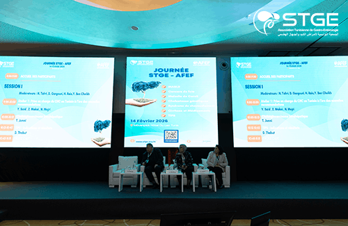 Journée STGE-AFEF